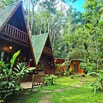 Floresta Encantada