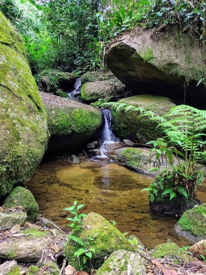 Floresta Encantada Acampamento Ubatuba