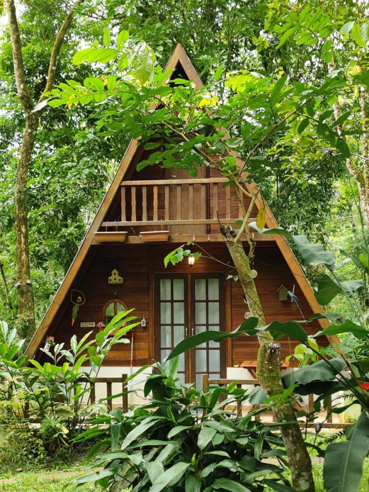 Floresta Encantada