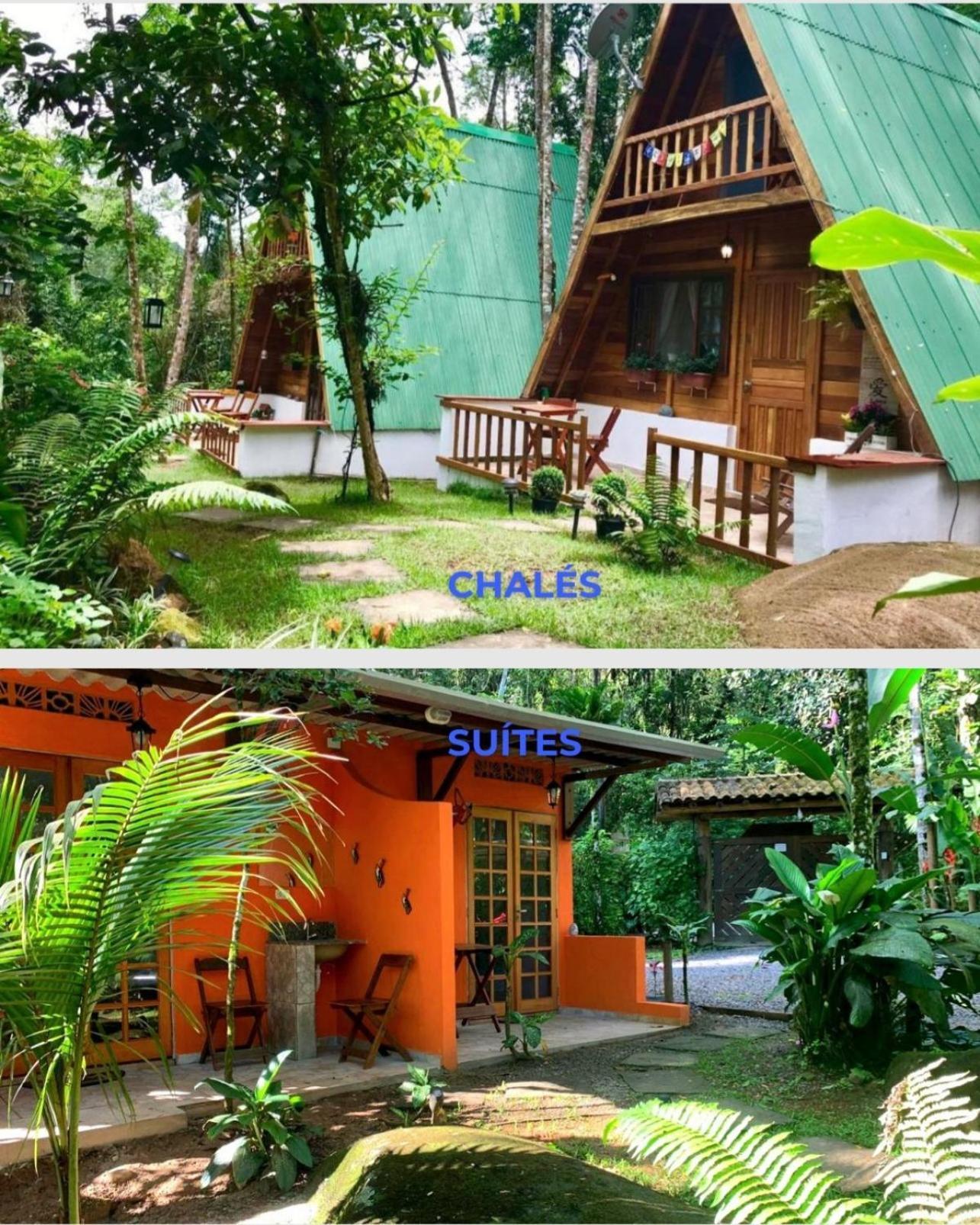 Floresta Encantada Acampamento *